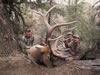 Ray Kabisch 2009 Bull White Rock Outfitters
